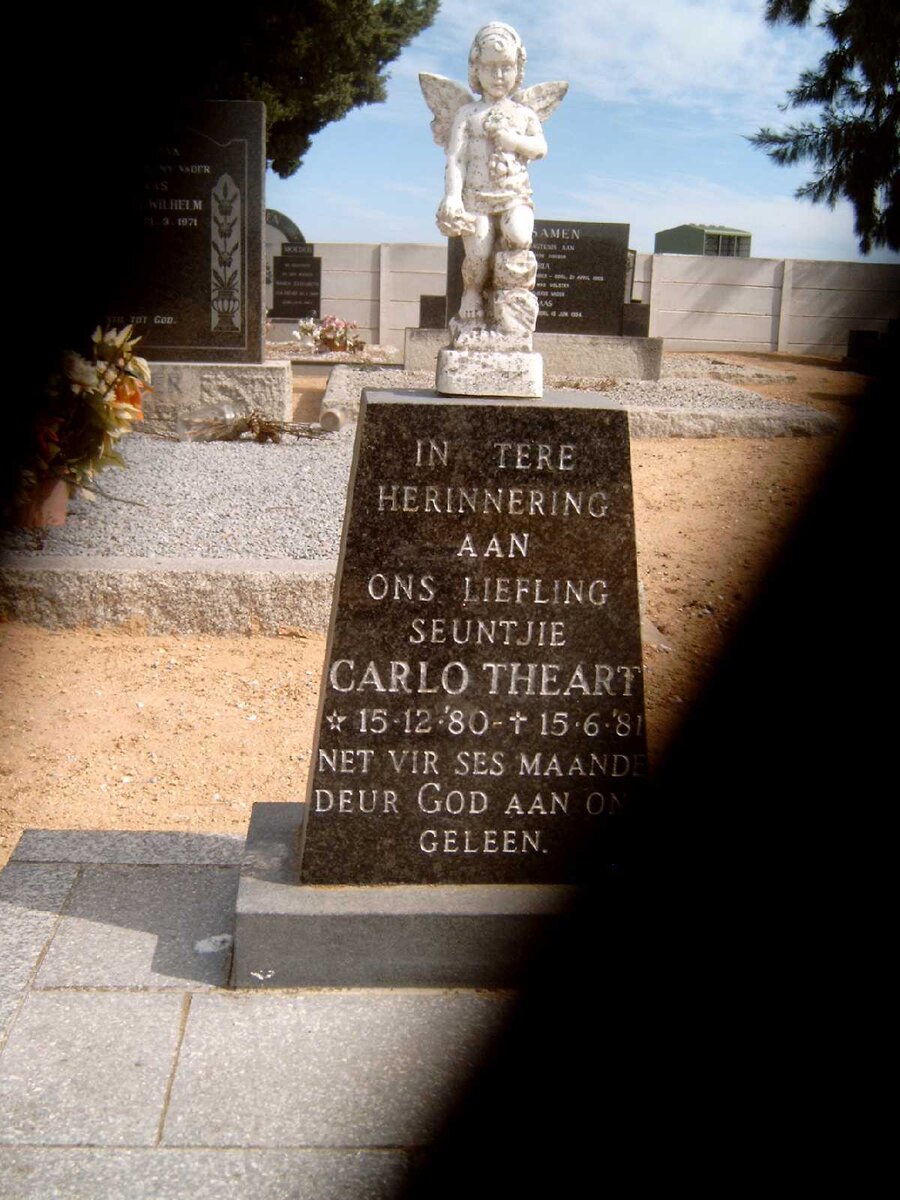 THEART Carlo 1980-1981