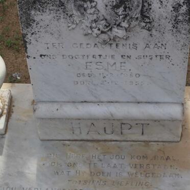 HAUPT Esme 1950-1955