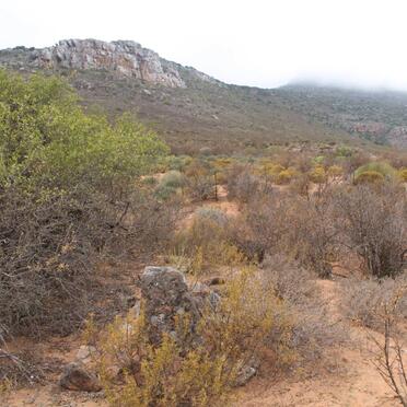 ? Unmarked grave with stones