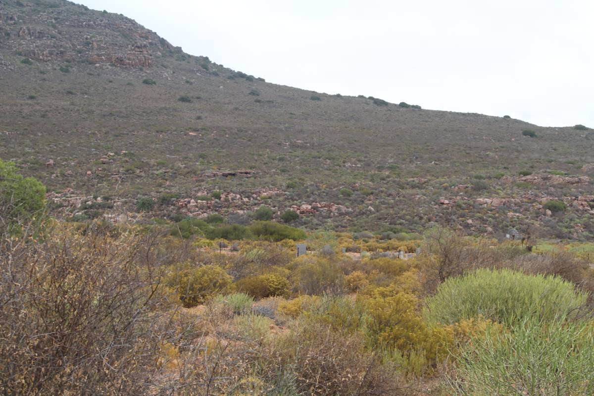 1. Overview