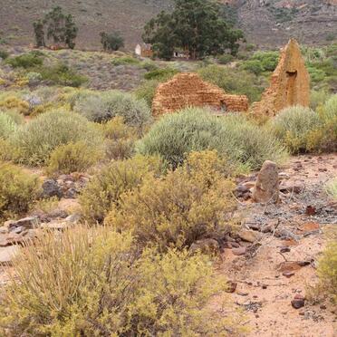 ? Unmarked Grave with stones