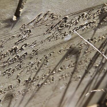 WESTHUISEN F., v.d. 1887-1932