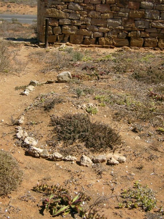 6. Unmarked grave at Katharine Elizabeth Fryer's left side