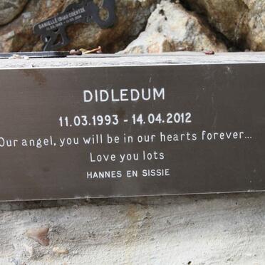 ? Didledum 1993-2012