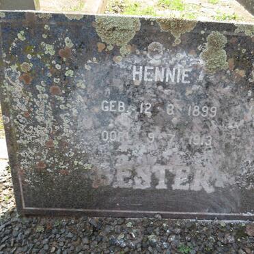 BESTER Hennie 1899-1913
