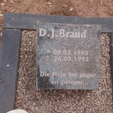 BRAND D.J. 1993-1993