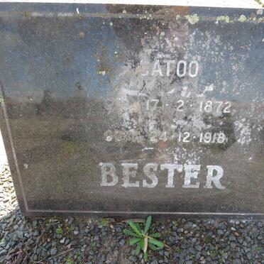 BESTER Catoo 1872-1918