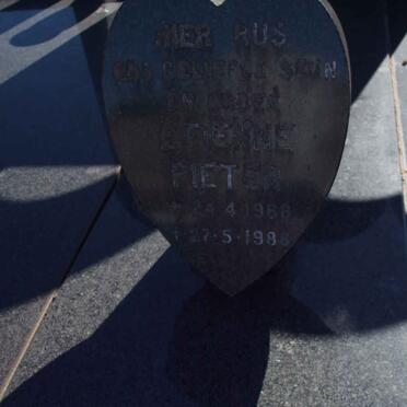 DEVENTER Etienne Pieter, van 1968-1988