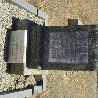 GELDERBLOM G.H. 1877-1960 &amp; M.C. VAN COLLER 1872-1940