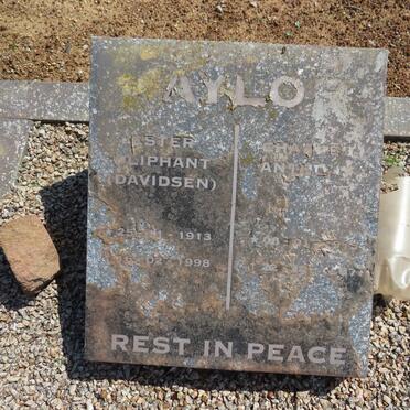 ?AYLOR Johannes ? &amp; Ester Oliphant DAVIDSEN -1913