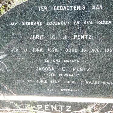 PENTZ Jurie C.J. 1878-1950 &amp; Jacoba E. DE NECKER 1887-1958