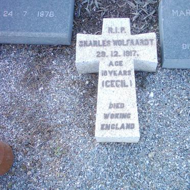 WOLFAARDT Charles -1917