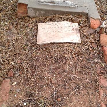 WARD James Pieter -1924