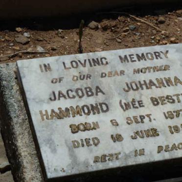 HAMMOND Jacoba Johanna nee BESTER 1877-1958