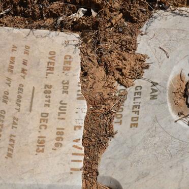 WITT P., de 1866-1913