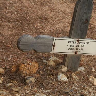 APPOLLIS Peter 1965-2006