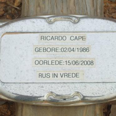 CAPE Ricardo 1986-2008