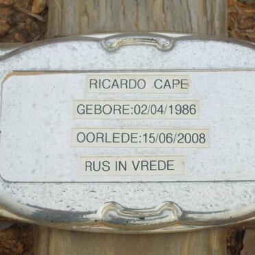 CAPE Ricardo 1986-2008