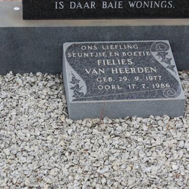 HEERDEN Fielies, van 1977-1986