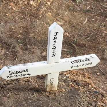 CUPIDO Jaydin 2004-2006