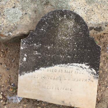 DANIELS Sarah Johanna -1895