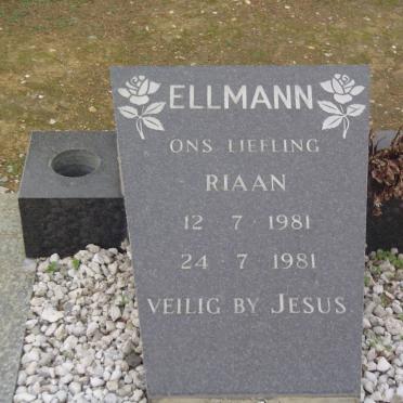 ELLMANN Riaan 1981-1981