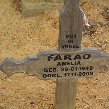 FARAO Amelia 1949-2008
