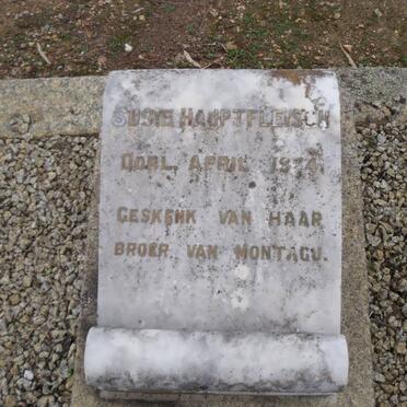 HAUPTFLEISCH S. -1934