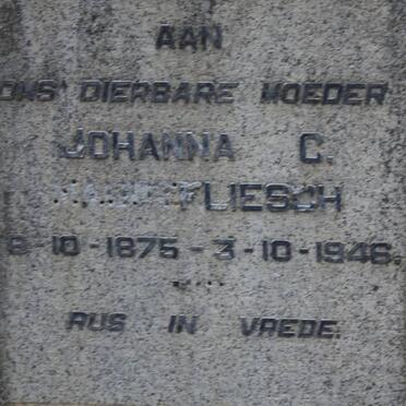 HAUPTFLIESCH Johanna C. 1875-1946