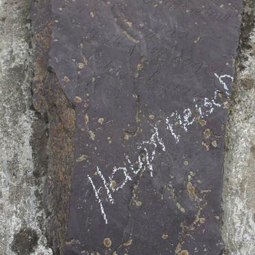 HAUPTFLEISCH
