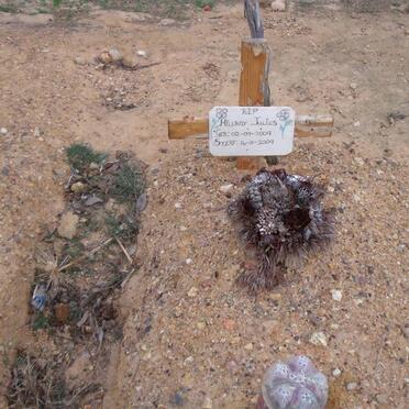 JULIES Hillroy 2009-2009