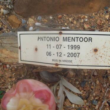 MENTOOR Antonio 1999-2007