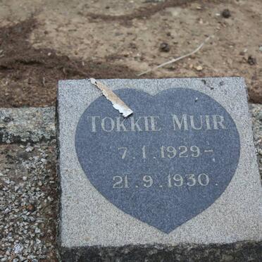 MUIR Tokkie 1929-1930