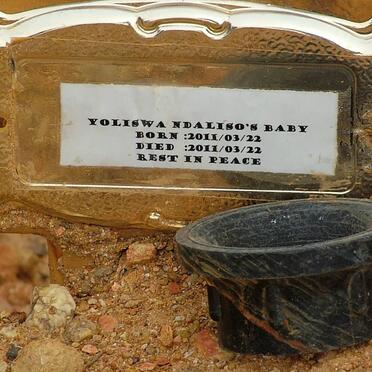 NDALISO Baby 2011-2011