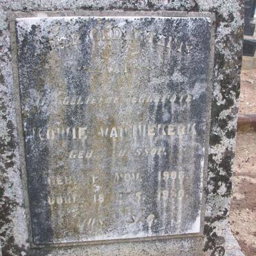 NIEKERK Kowie, van nee BASSON 1906-1930 :: VAN NIEKERK J.J.B. 19030-2010