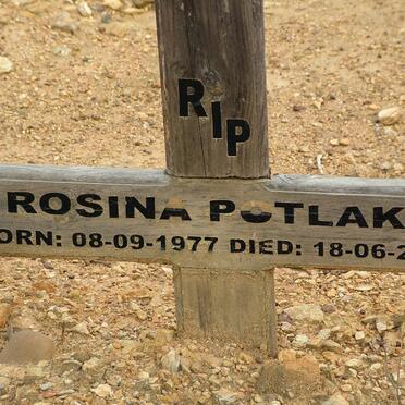 POTLAKI Rosina 1977-2004