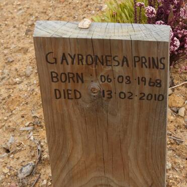 PRINS Gayronesa 1968-2010