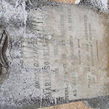 ROSSOUW Maria Sophia 1882-