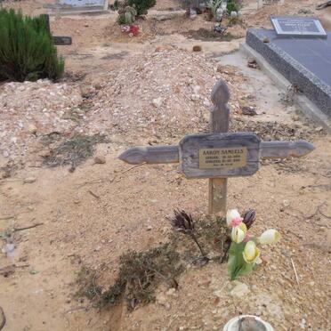 SAMUELS Aaron 1954-2008