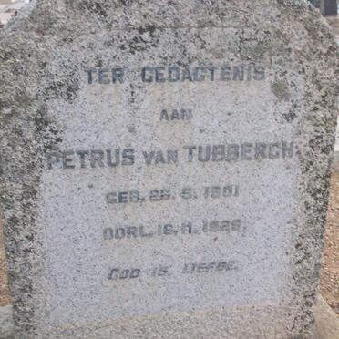 TUBBERGH Petrus, van 1901-1929