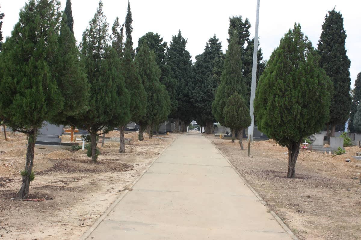 2. Overview