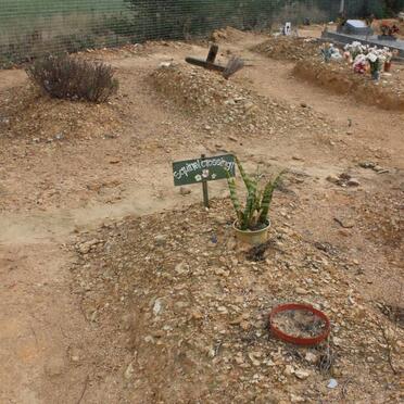 &quot;Squirrel Crossing&quot;