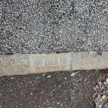 ? CILLIE