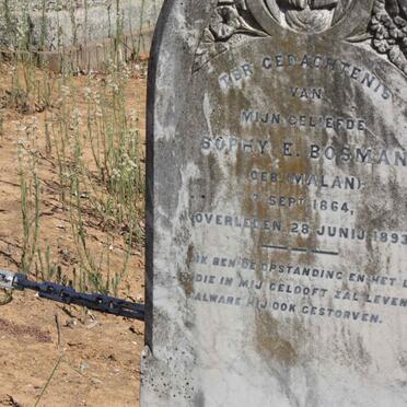 BOSMAN Sophy E. nee MALAN 1864-1893