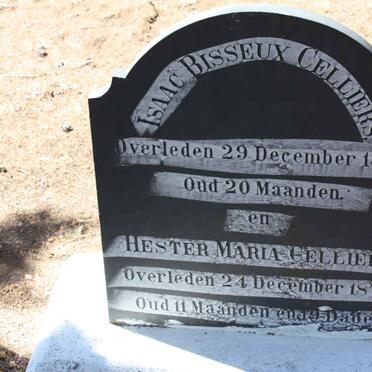 C - Surnames :: Vanne - C