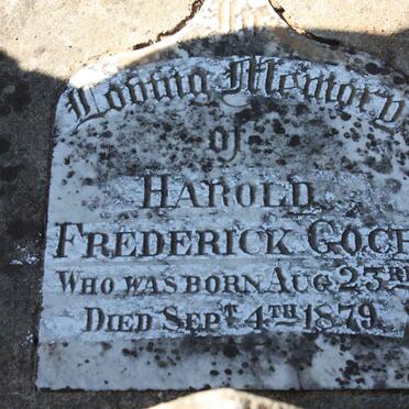 G - Surnames :: Vanne - G