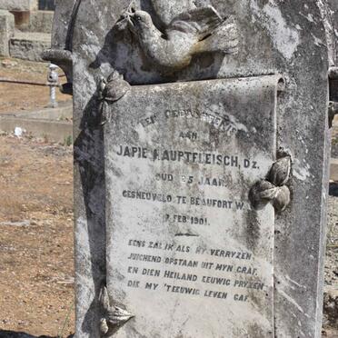 HAUPTFLEISCH Japie -1901