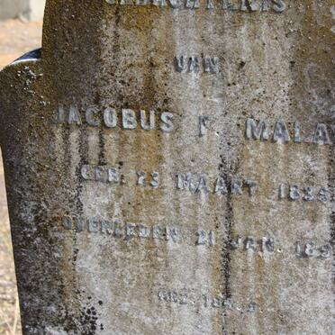 MALAN Jacobus F. 1835-1895