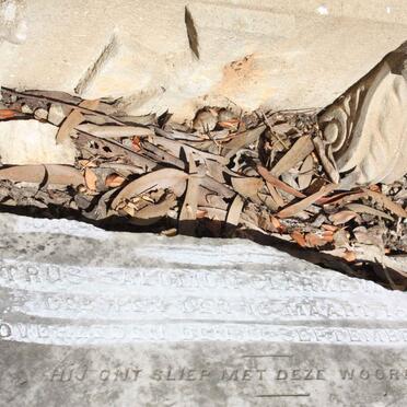 WOUDBERG Petrus Salomon Clarke 1860-1884