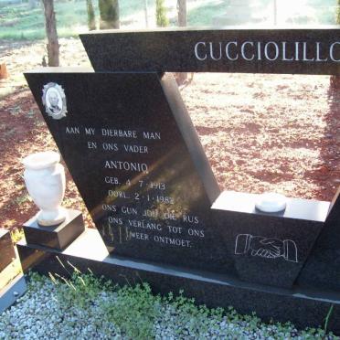 CUCCIOLILLO Antonio 1913-1982